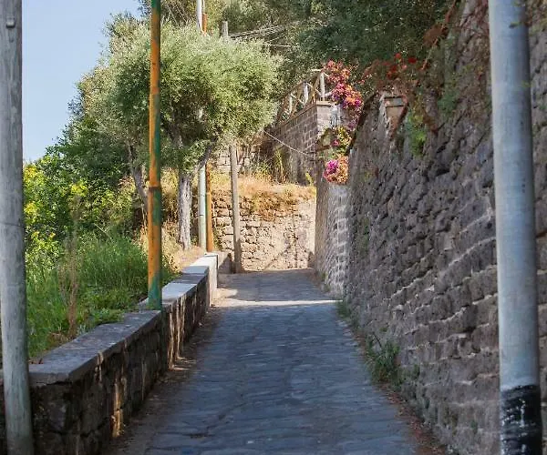 Maison Del Mare Sorrento. *